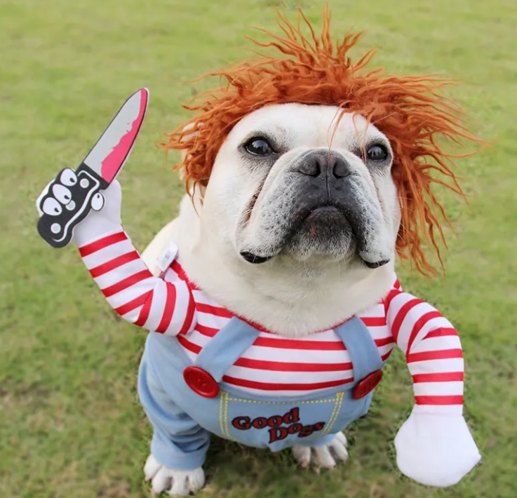 Spooky Pet Outfit