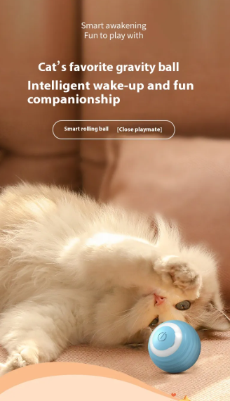 Furry Fun Ball