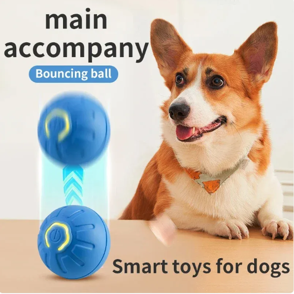 Furry Fun Ball
